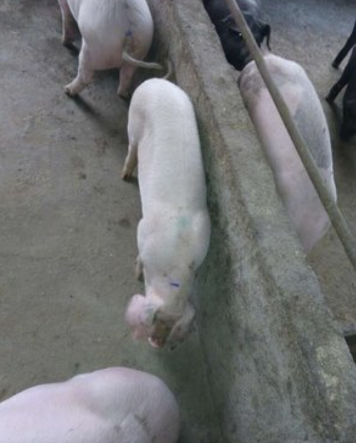 截图20260415092337.png 截图20260415092337.png