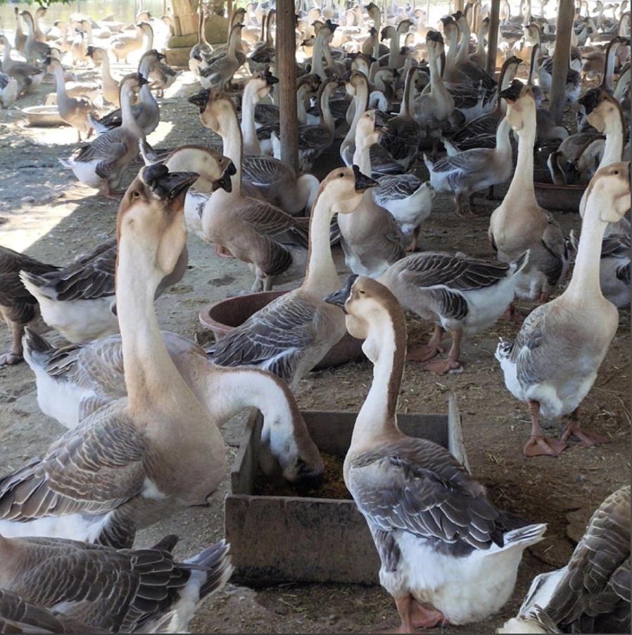 截屏2026-04-21 09.41.41.png