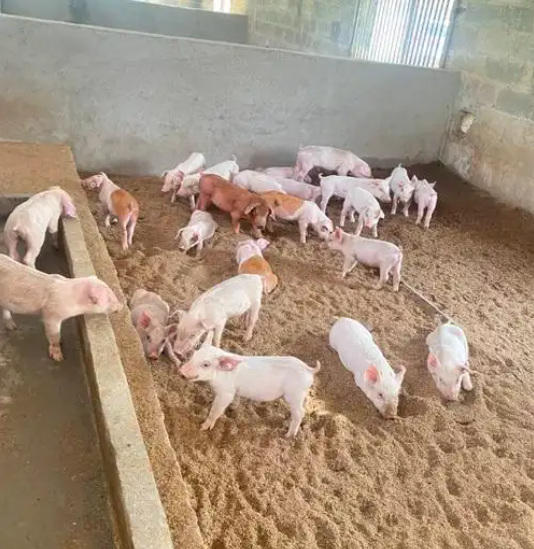 截图20260508091839.png