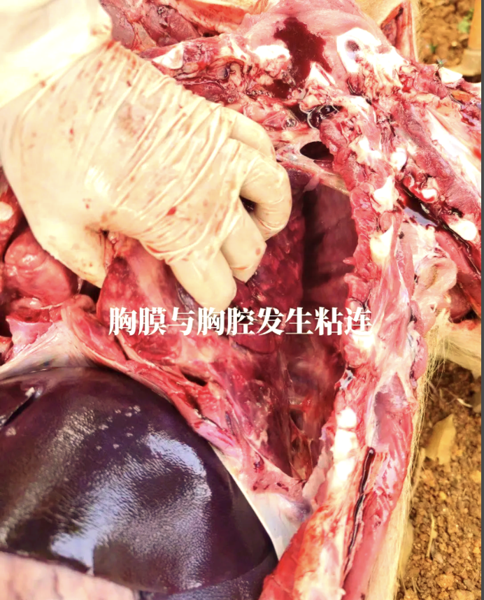 截屏2026-05-12 10.28.30.png