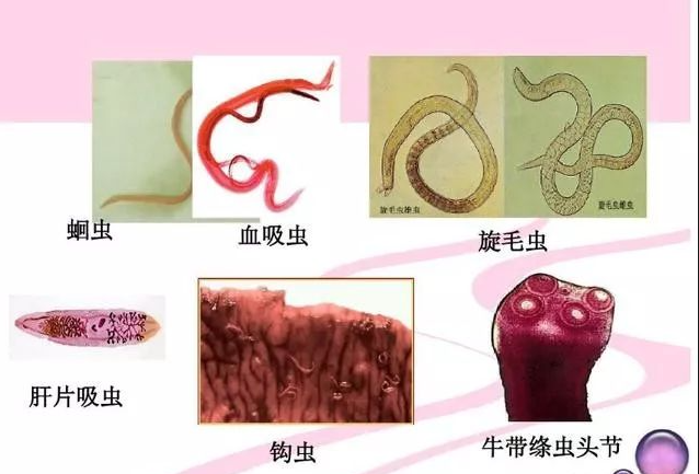 截图20260514104247.png