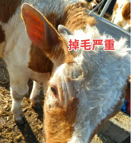 截图20260519105353.png