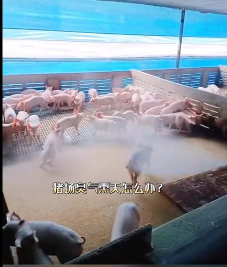 截图20260603091450.png 截图20260603091450.png