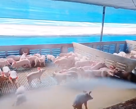 截图20260603091811.png 截图20260603091811.png