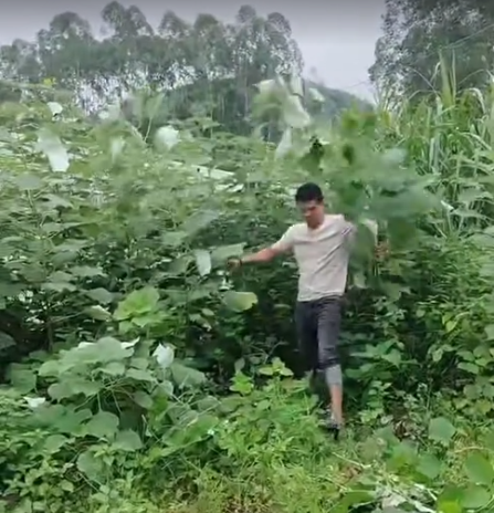 截图20260707093336.png 截图20260707093336.png