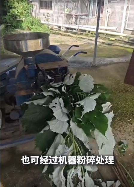 截图20260707093739.png 截图20260707093739.png