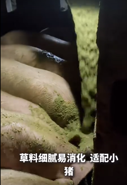 截图20260707093749.png 截图20260707093749.png