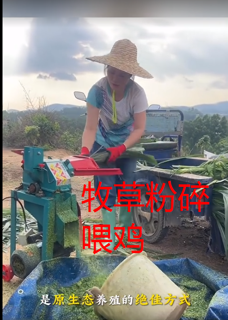 截图20260711095354.png 截图20260711095354.png