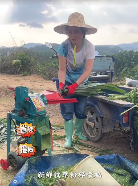 截图20260711095513.png 截图20260711095513.png