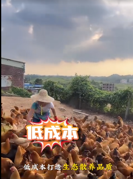 截图20260711100825.png 截图20260711100825.png