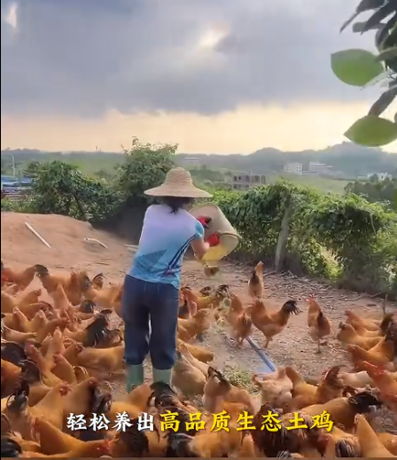 截图20260711100918.png 截图20260711100918.png