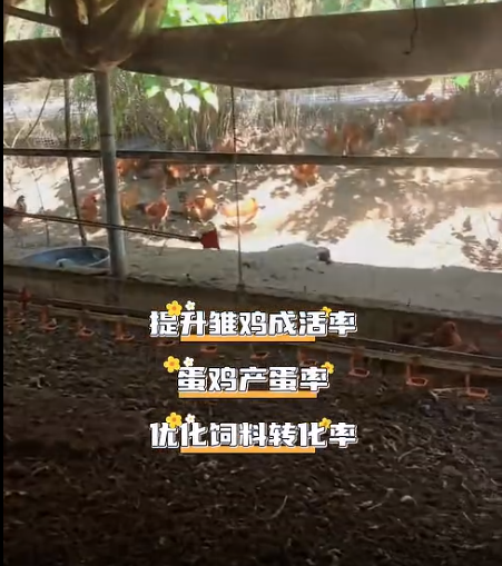 截图20260714100247.png 截图20260714100247.png