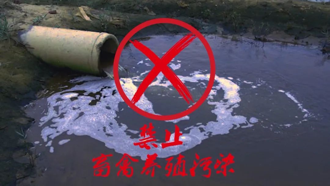 禁止畜禽养殖污染.jpg 禁止畜禽养殖污染.jpg