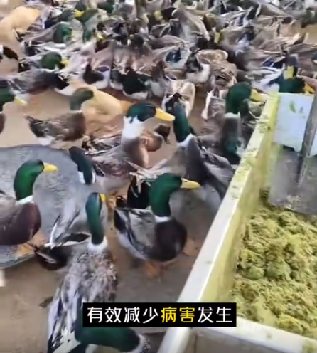 截图20260721094824.png 截图20260721094824.png