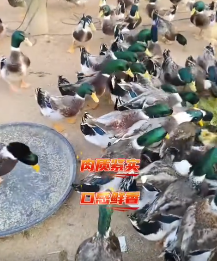 截图20260721094944.png 截图20260721094944.png