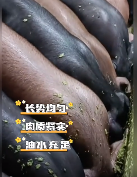 截图20260730091054.png
