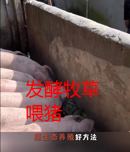 截图20260730092254.png