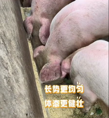 截图20260730092535.png