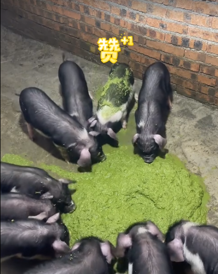 截图20260730092845.png
