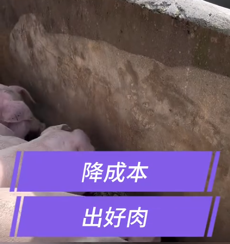 截图20260730093008.png