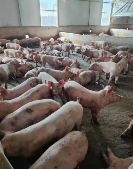 截图20260327104312.png