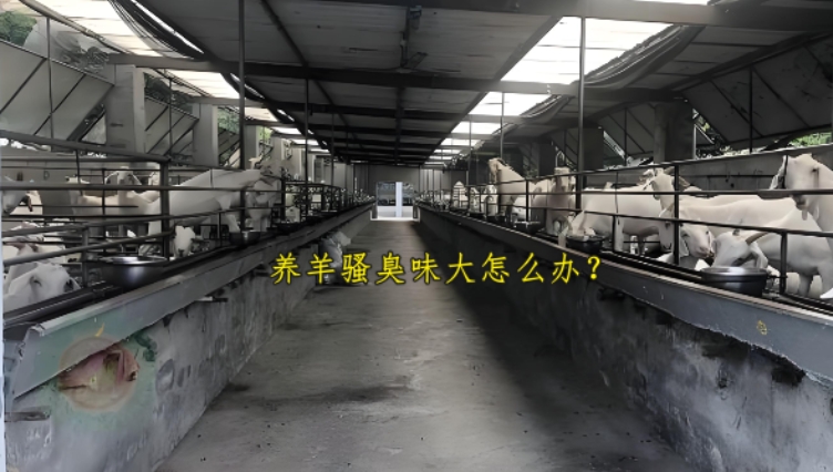 微信截图_20260805095032.jpg