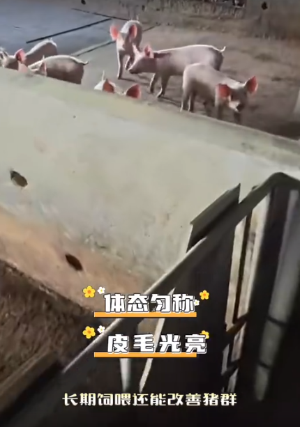 截图20260805101850.png