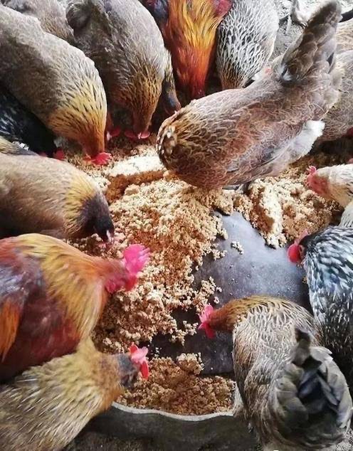 17799349184487577.jpg