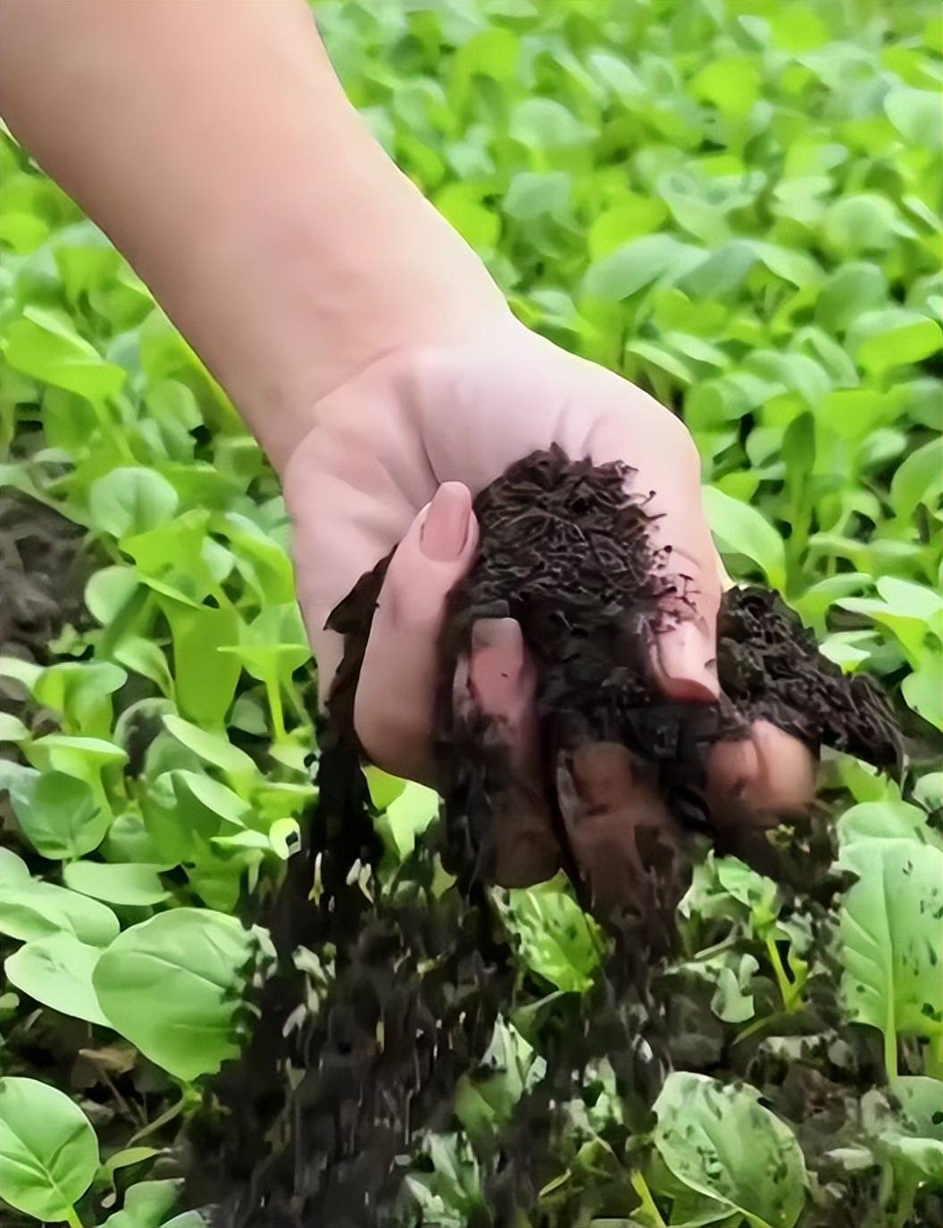 17835809066016325.jpg 17835809066016325.jpg