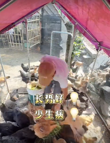 QQ浏览器截图20260811223623.png QQ浏览器截图20260811223623.png
