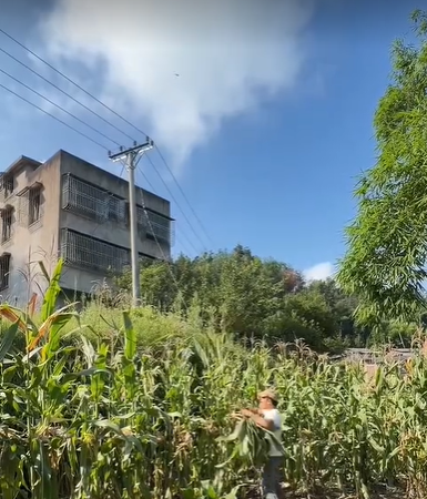 QQ浏览器截图20260811223834.png QQ浏览器截图20260811223834.png