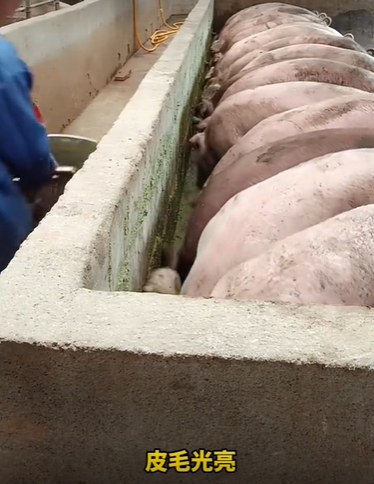 QQ浏览器截图20260812235907.png