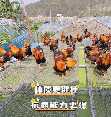 QQ浏览器截图20260814233049.png QQ浏览器截图20260814233049.png