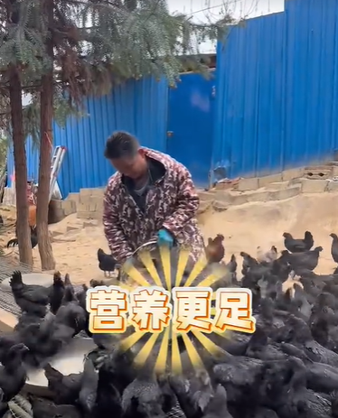 QQ浏览器截图20260817224646.png