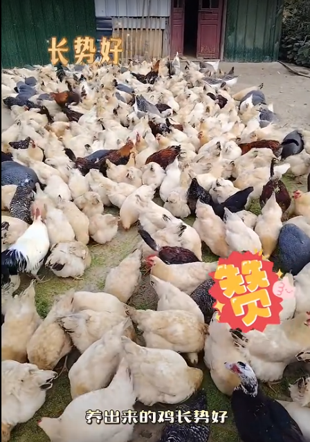 截图20260819091523.png