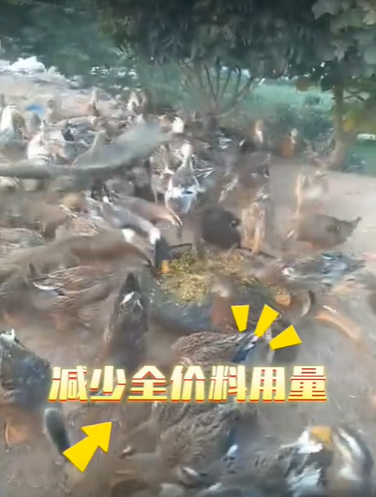 QQ浏览器截图20260821224007.png