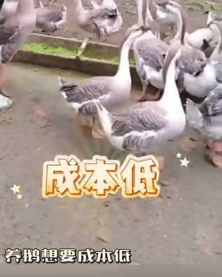 截图20260828092656.png 截图20260828092656.png