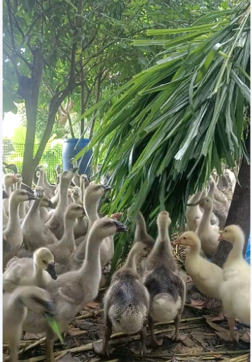 截图20260828093251.png 截图20260828093251.png