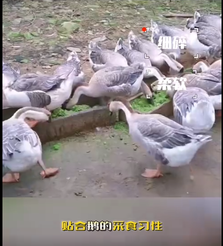 截图20260828093534.png 截图20260828093534.png
