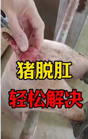 截图20260914100457.png