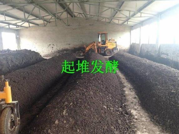 17847715991886976.jpg