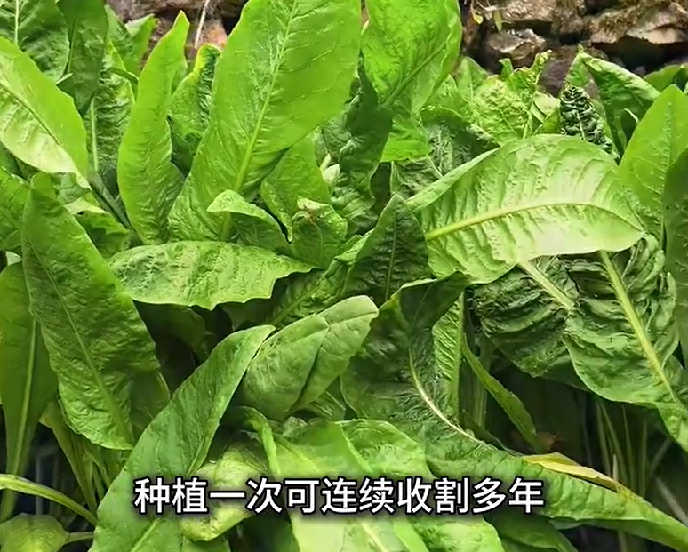 QQ浏览器截图20260915222855.png