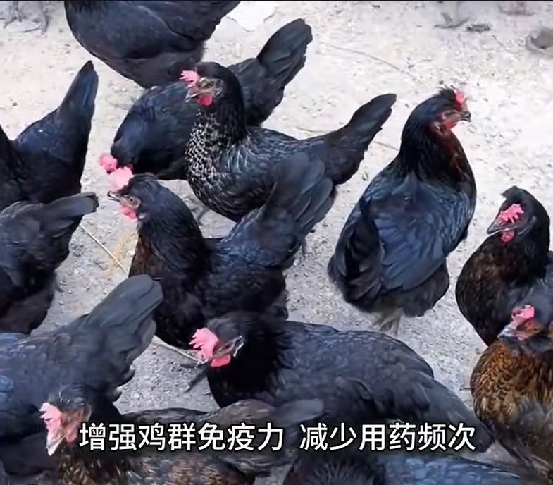 QQ浏览器截图20260915223115.png