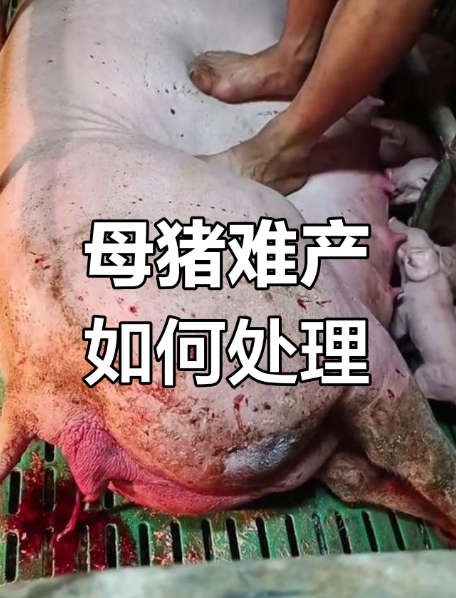截图20260916091130.png