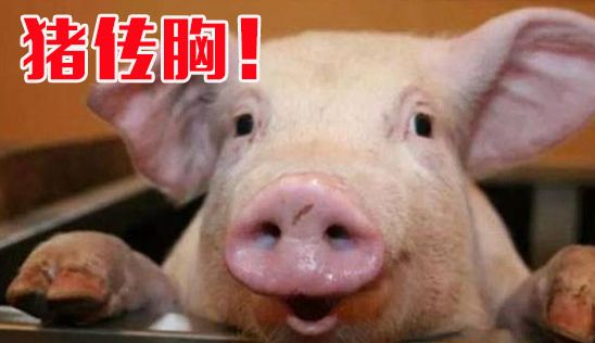 截图20260921103220.png 截图20260921103220.png