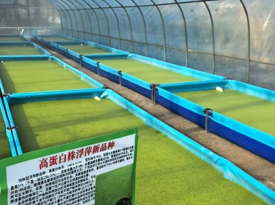 a5f08812-34fb-49cd-b16f-353b2444f2a5.png a5f08812-34fb-49cd-b16f-353b2444f2a5.png