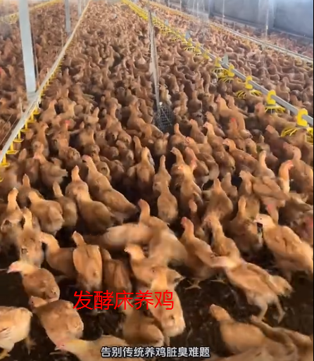 截图20261021095639.png 截图20261021095639.png