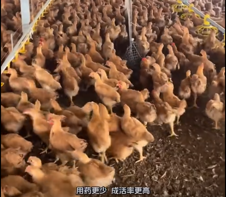 截图20261021100257.png 截图20261021100257.png