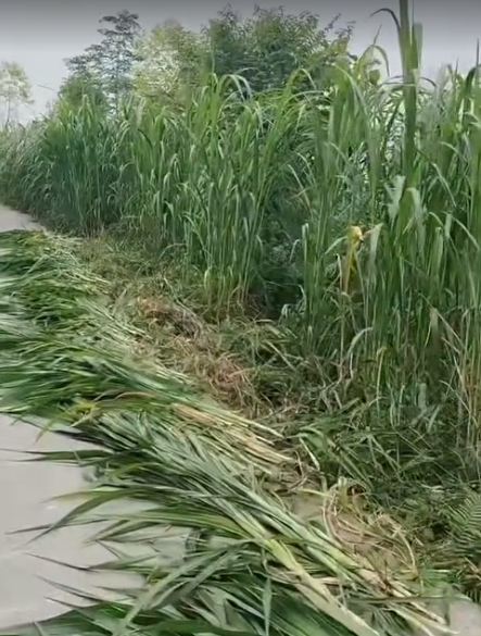 截图20261030101742.png 截图20261030101742.png